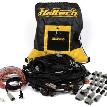 Haltech Uni V8 Term Engine Harness for Nexus R5 VCU HT-186200