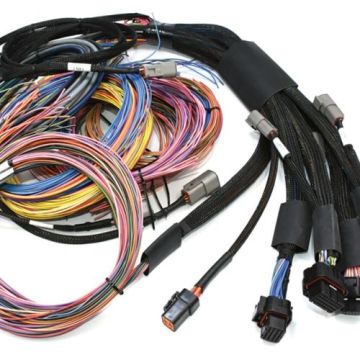 Haltech Nexus R5 plus Universal Wire-in Harness Kit - 2.5M (8') HT-195200